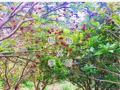 -楠溪江风景名胜区