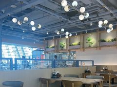 -翡翠拉面小笼包Crystal Jade(上海浦东国际机场T1店)