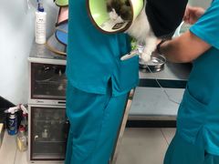 -萌兽医馆·犬猫专科·眼科中心·宠物医院(朝阳门分院)