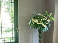 -杭州西湖柳莺里酒店·闻莺厅