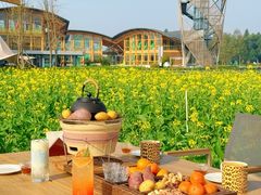 -中国天府农业博览园