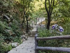 -黑龙潭风景区