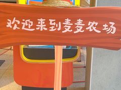 -麦当劳(仙林亚东城得来速店)