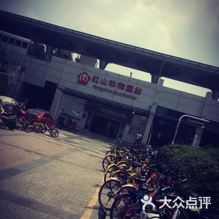 红山动物园-地铁站