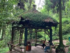-青城山