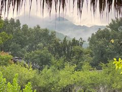 -石台牯牛降景区