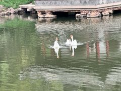 -水绘园