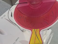 -武汉大学附属爱尔眼科医院(湖北总院)