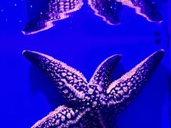 -青岛海底世界-水族馆