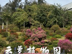 -点都德(广州白云山景区南门店)