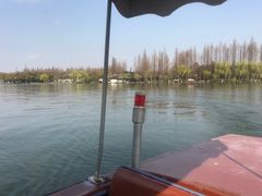 -西湖外事游船(花港观鱼码头)