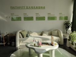-凡碧诗毛孔清洁收细