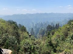 -武夷山风景名胜区-玉女峰