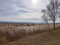 -野鸭湖国家湿地公园