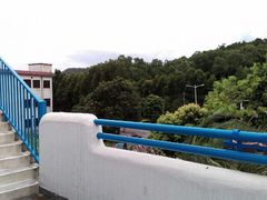 android_upload_pic-长江六号法国餐厅(长江南路店)