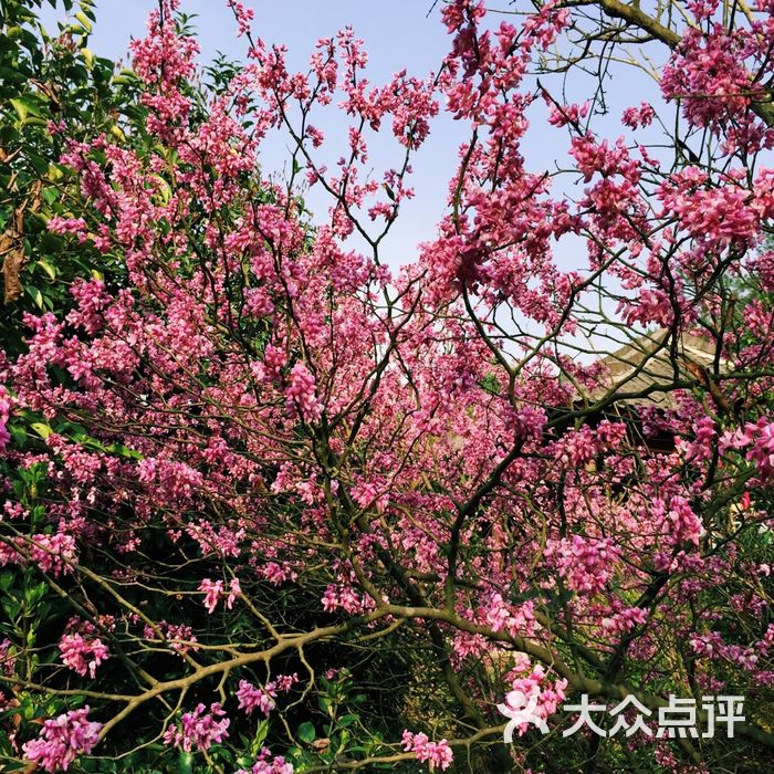 縉雲仙都黃龍山景區