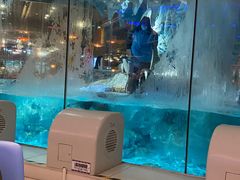 -帝企鹅自助餐厅•儿童岛•真企鹅(长隆企鹅酒店)