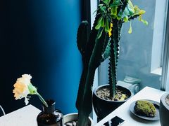 -半山腰·云南菜(侨福芳草地店)