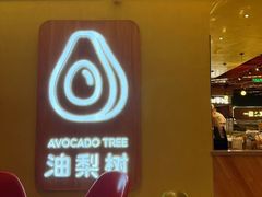 -油梨树AVOCADO TREE(嘉里中心店)