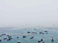 -枸杞岛
