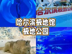 -哈尔滨极地公园
