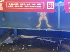 -集草轩·重庆麻辣烤鱼(西湖道店)
