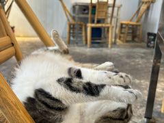 -铜瓢江湖兔火锅(水碾河社区店)