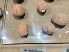 -烟台市博物馆