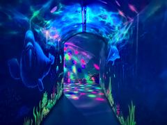 -福州罗源湾海洋世界旅游区