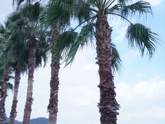 -东钱湖小普陀景区