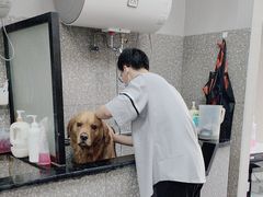 -宠物家(角门东店)