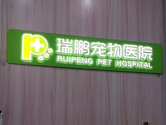-瑞鹏宠物医院·微创内窥镜·骨外科·牙科(翠竹分院)