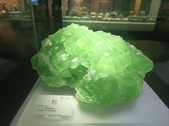 -湖南省地质博物馆