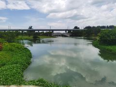 -宝安西湾红树林湿地公园