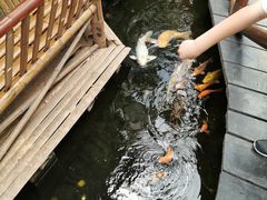 -上海大自然野生昆虫馆(东方明珠·爬宠昆虫探索中心)