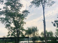 -上海长兴岛郊野公园