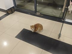 -东华大学(松江校区)