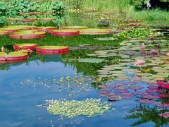 -国家植物园南园