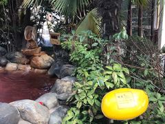 -张家港金凤凰度假村温泉
