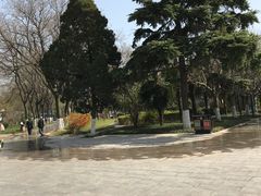 景点-渭滨公园