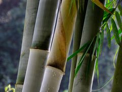 景点-红山村