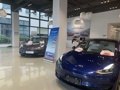 -TESLA 特斯拉(深圳观澜特斯拉直营钣喷中心)