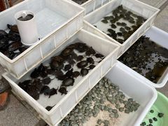 -华声天桥民俗文化园
