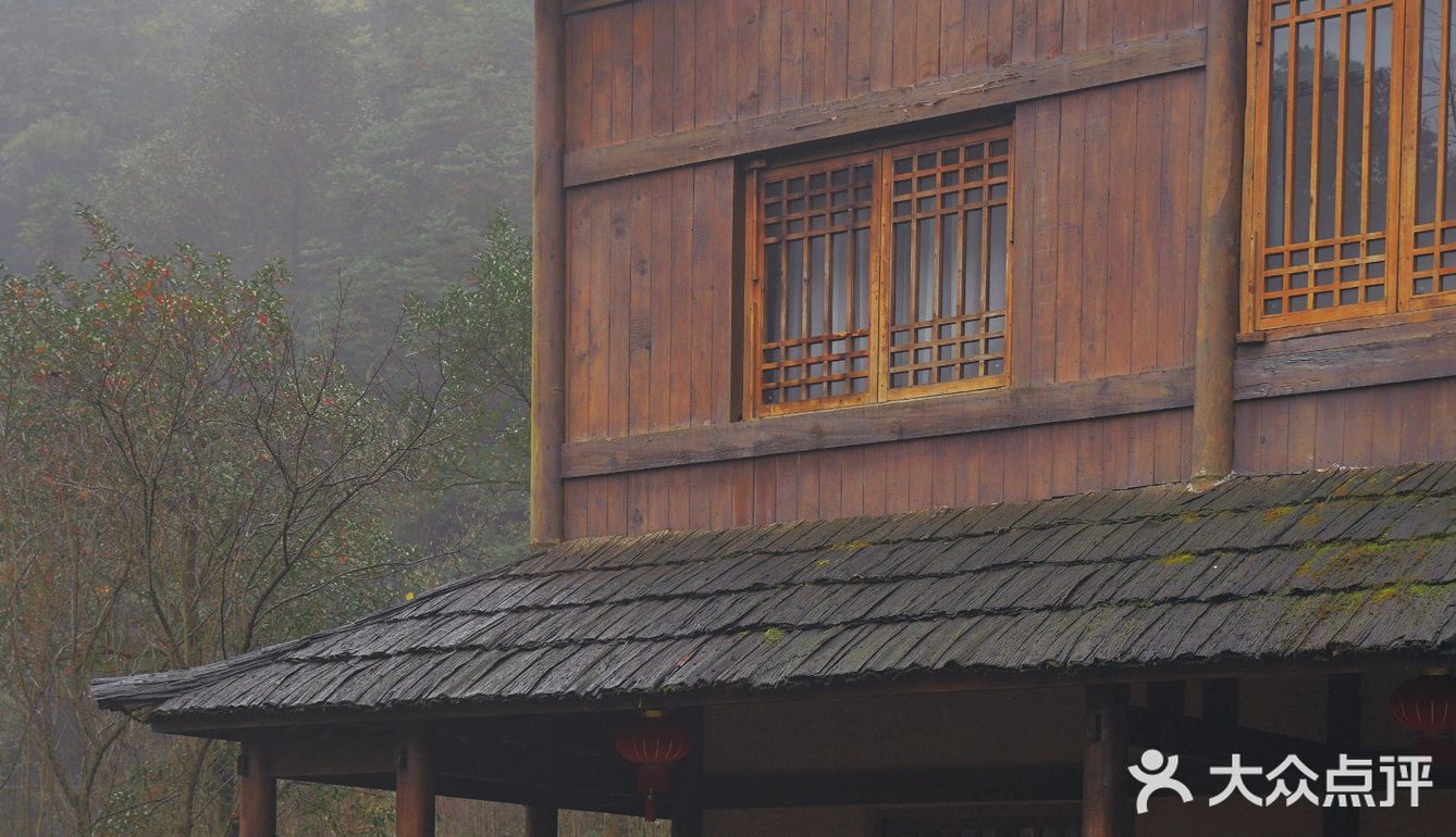 常德 | 隐居在桃花源🍃推开窗便是绿树田园