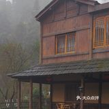 常德 | 隐居在桃花源🍃推开窗便是绿树田园