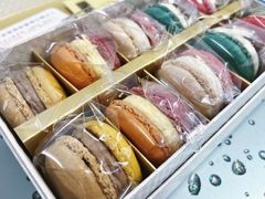 -Mei House 美梅西点·工作室(创智天地创智坊店)