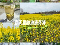 -两河城市森林公园