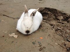 -栾川竹海野生动物园