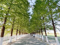 -嘉北郊野公园
