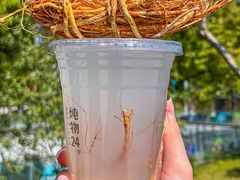 -炖物24章·顺时轻养茶(杭州大厦店)